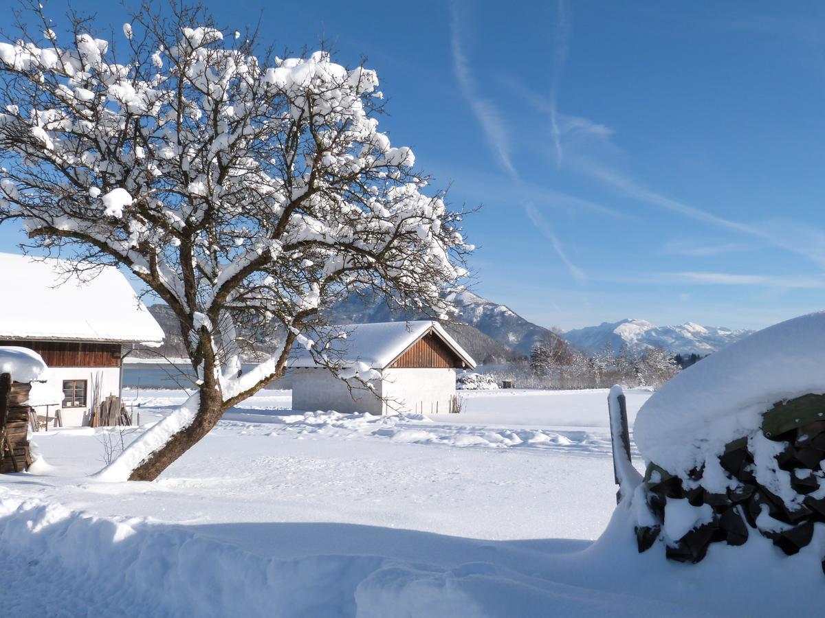 Pilznerhof Daire Strobl Dış mekan fotoğraf